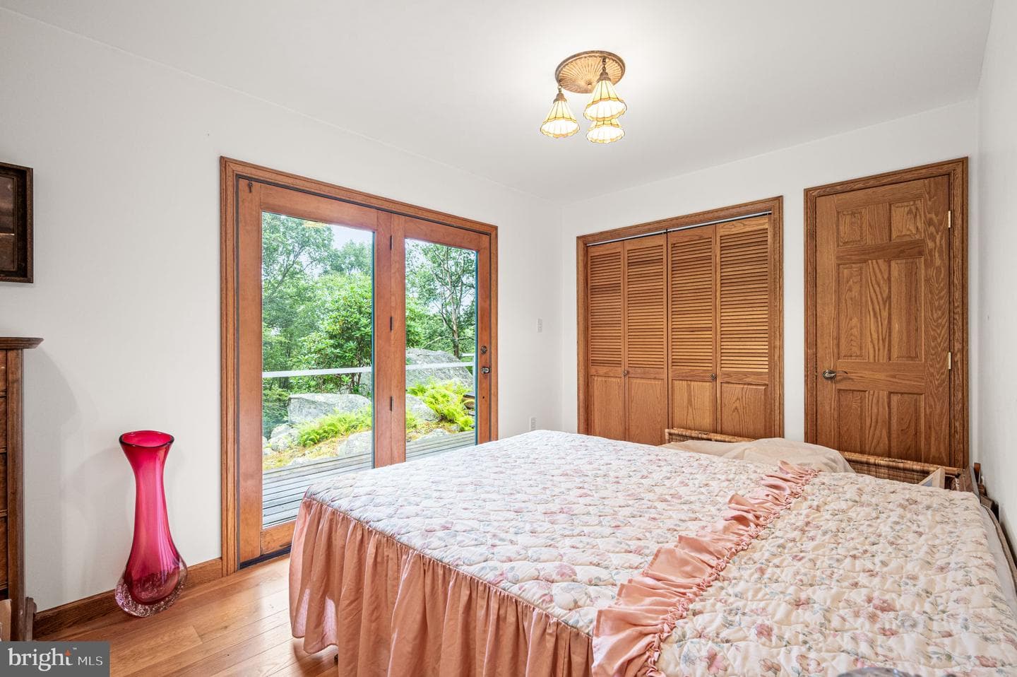 38 Lutz Road photo 19