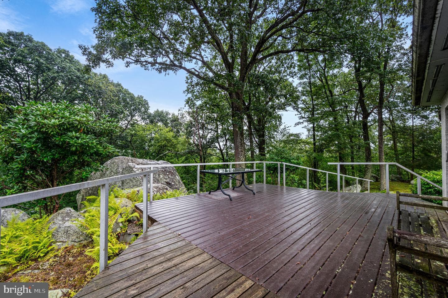 38 Lutz Road photo 38