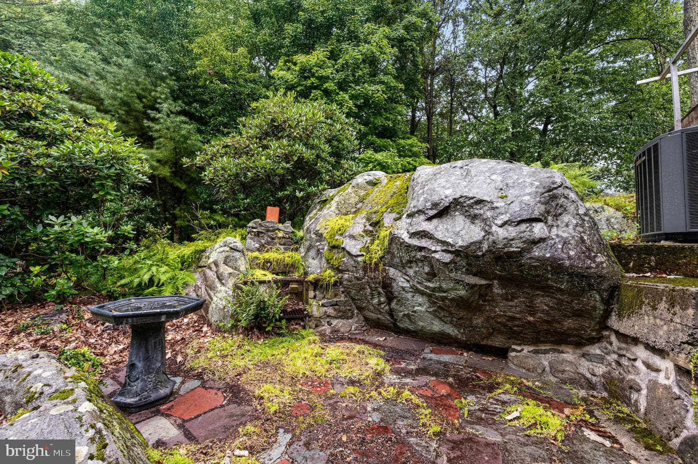 38 Lutz Road photo 40