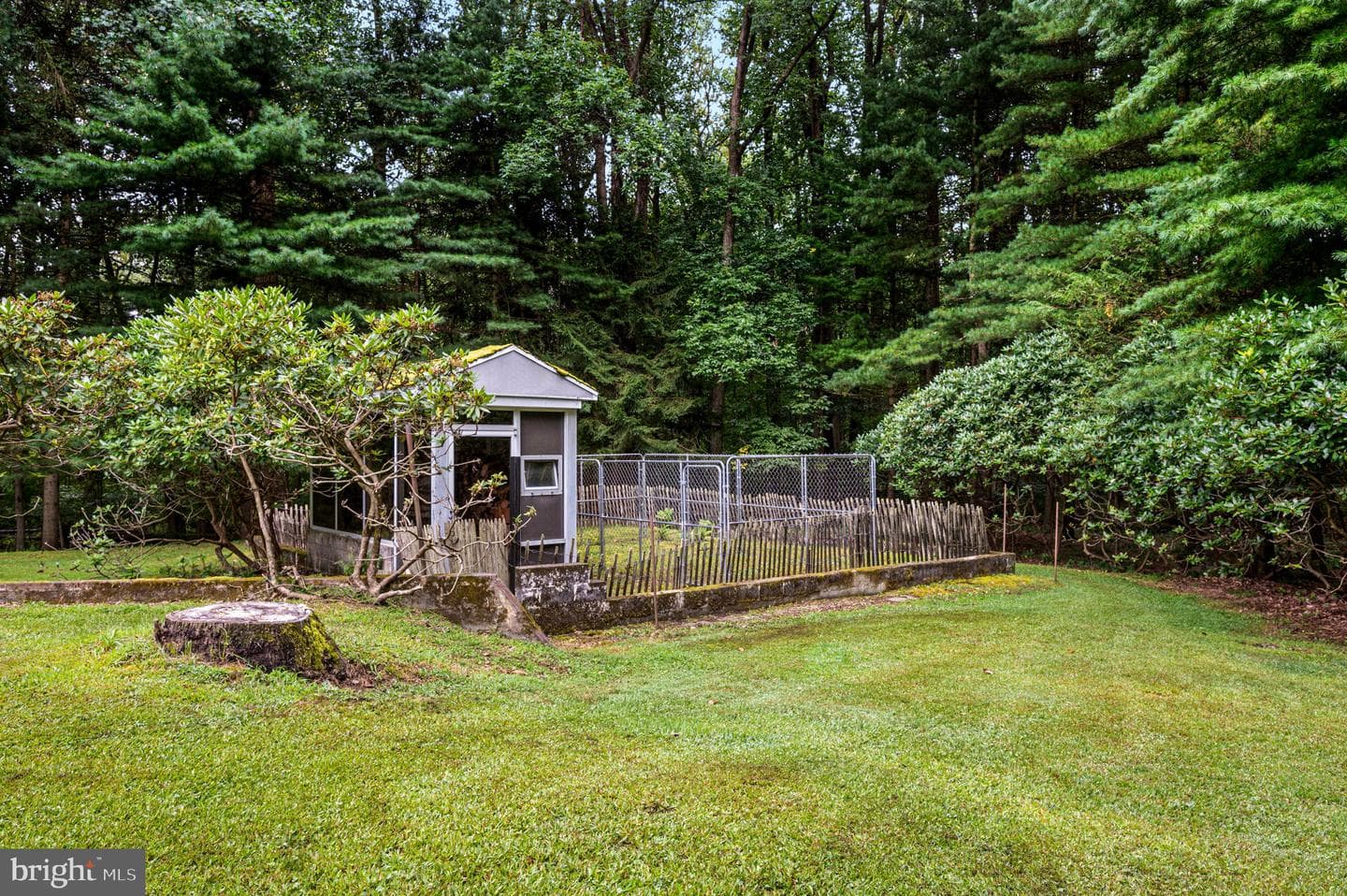38 Lutz Road photo 42