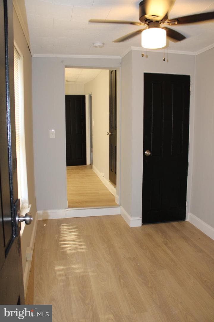 634 Mulberry Street photo 7