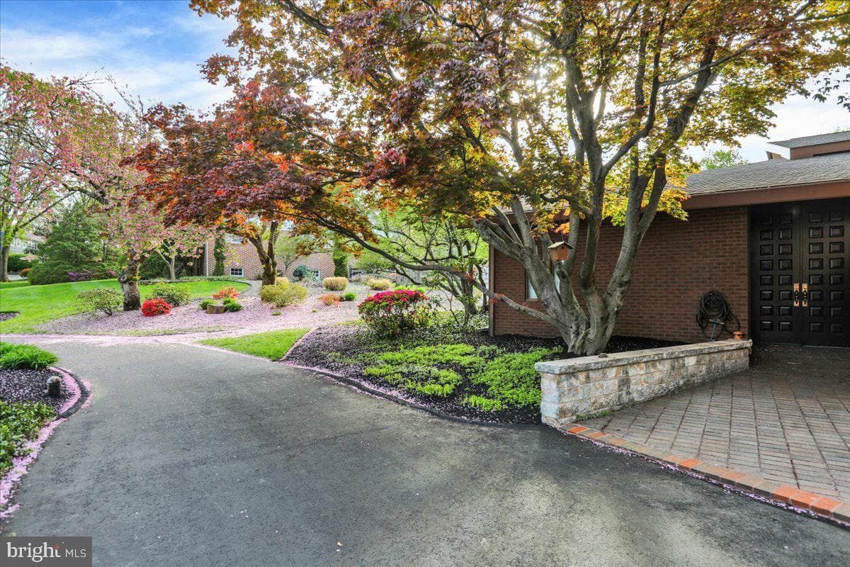 1617 Meadowlark photo 7