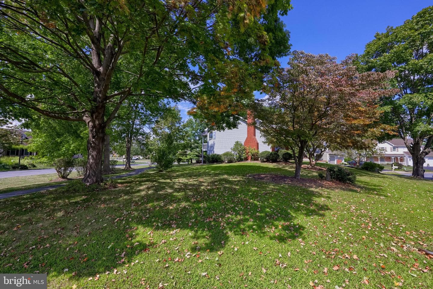 106 Delta Court photo 21
