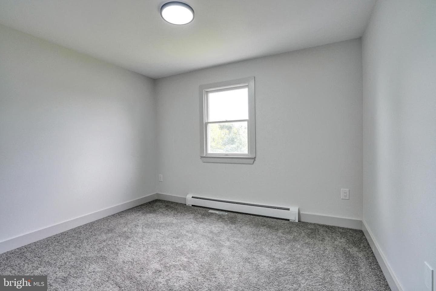 125 Rugby Road photo 45