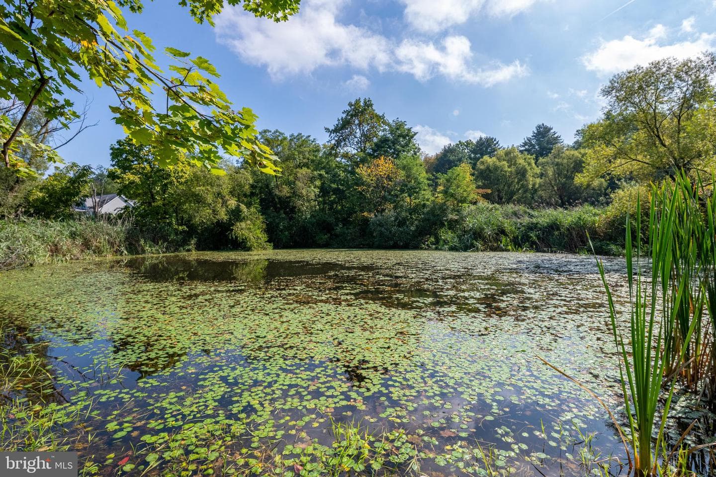 700 Fabers Road photo 26