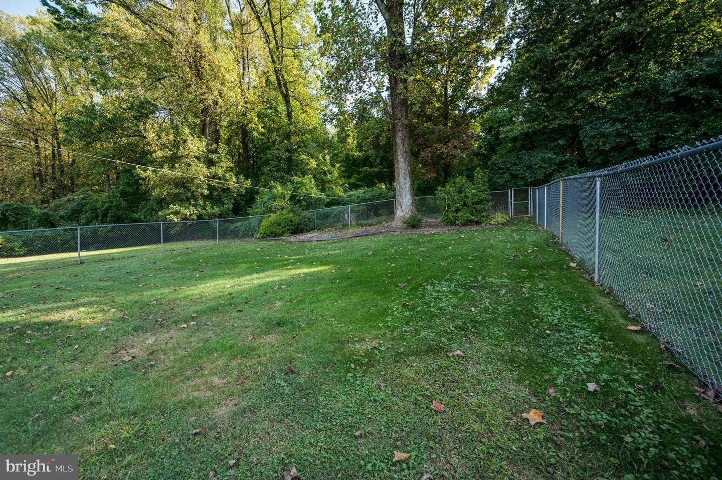 669 Fairmont Avenue photo 48