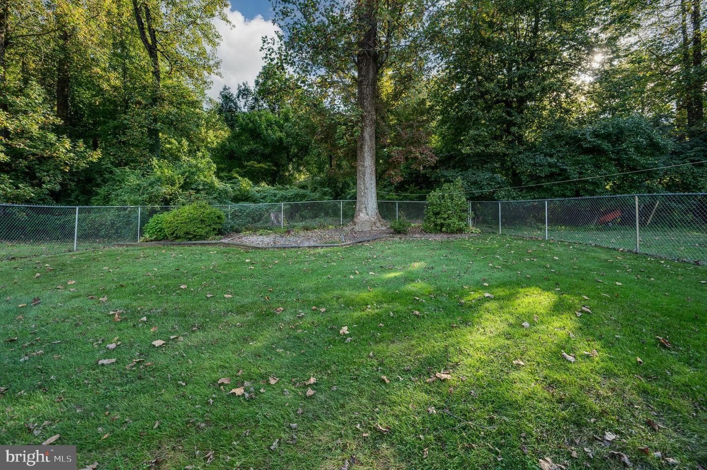 669 Fairmont Avenue photo 49