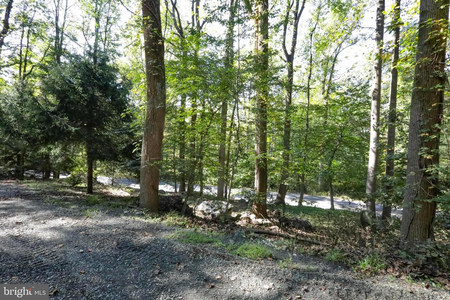 454 Landis Store Road photo 24