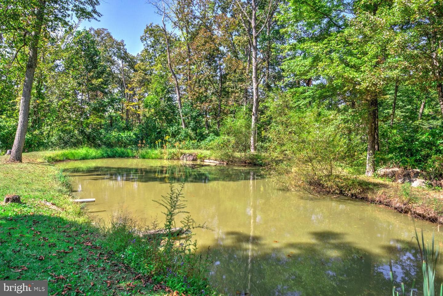 265 Witmer Road photo 11