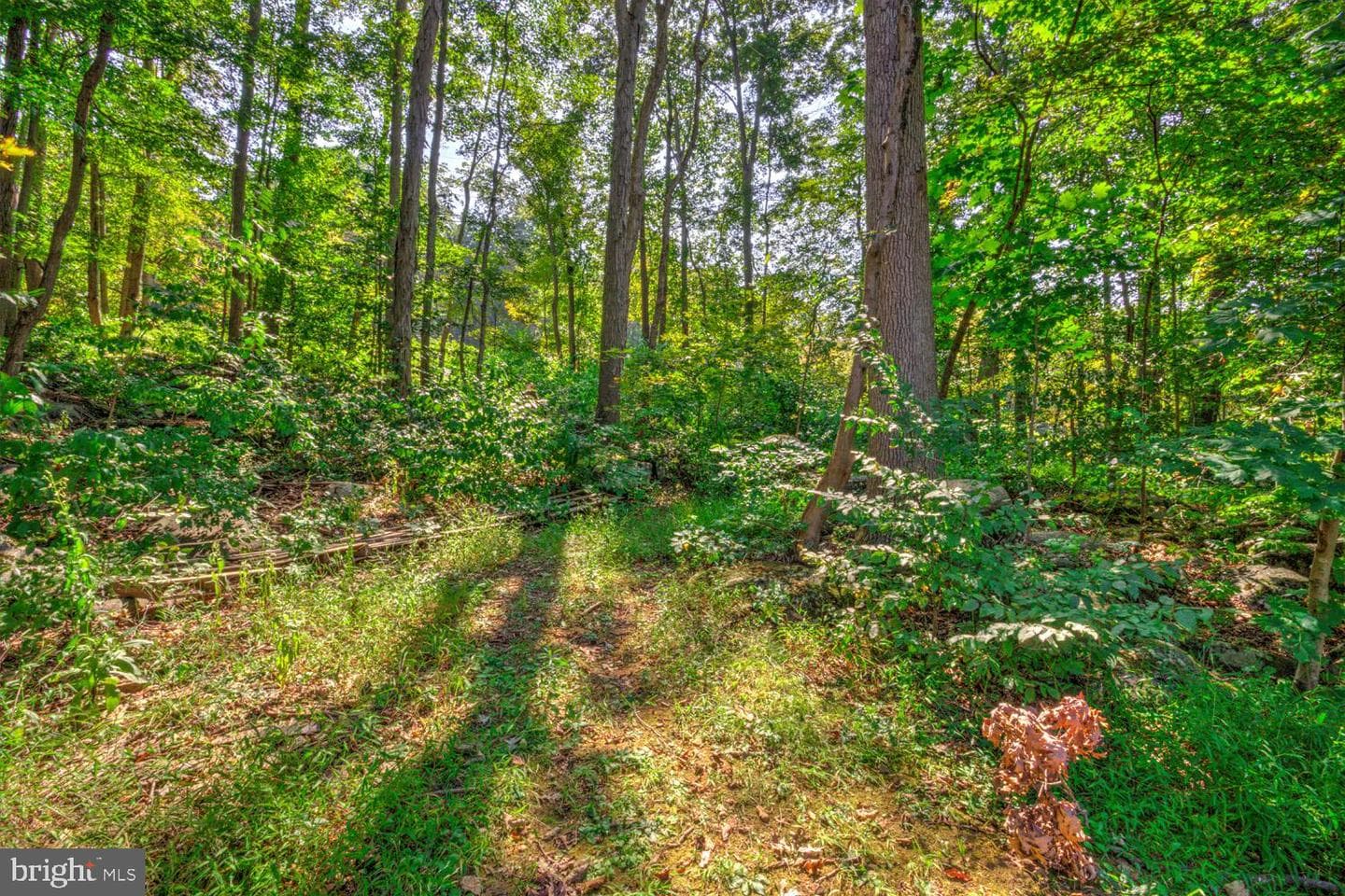 265 Witmer Road photo 19