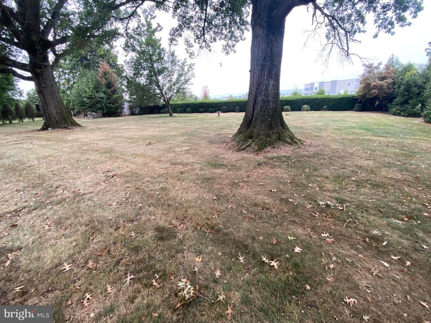 105 Zweizig Road photo 32