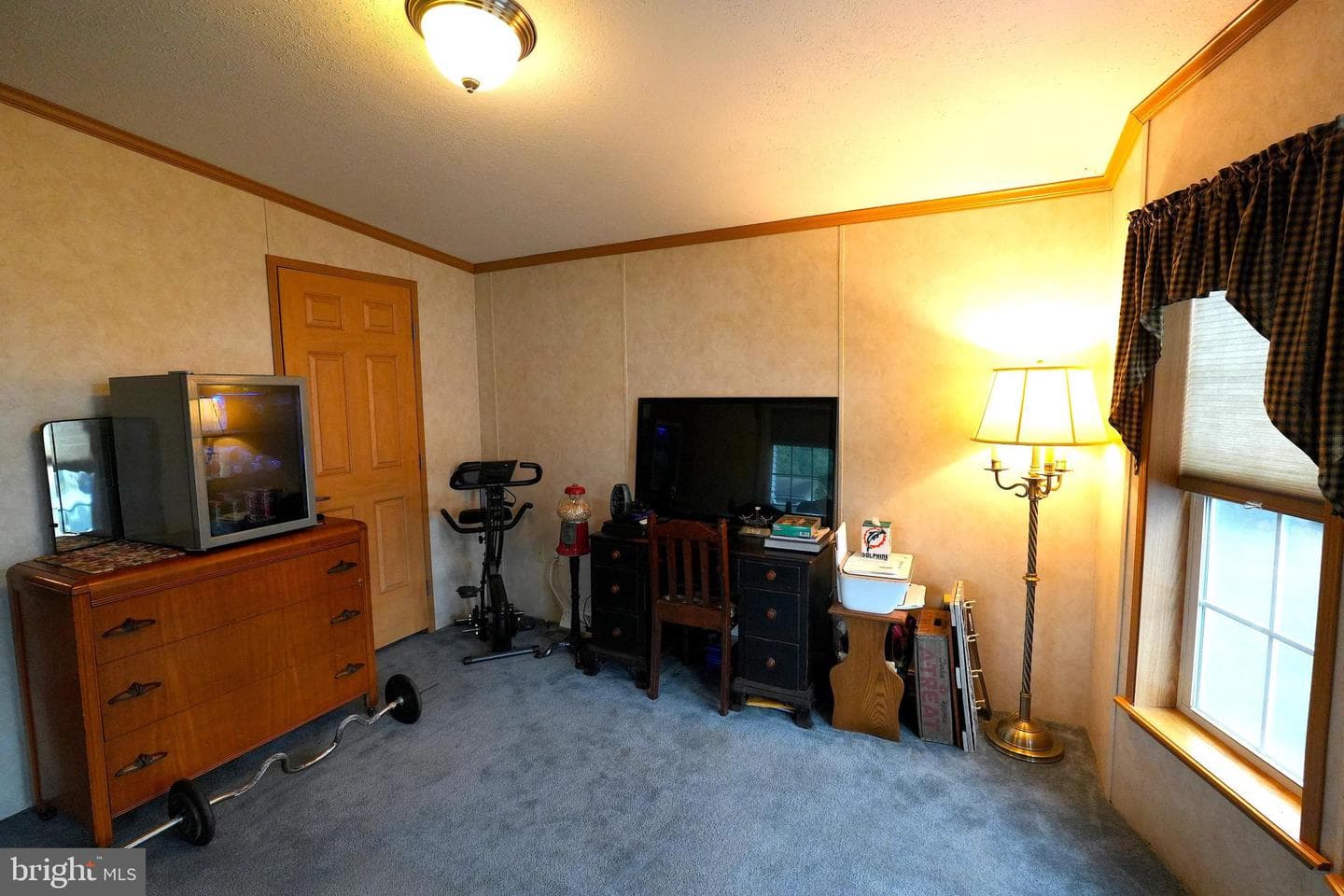 16 Shamrock Avenue photo 16