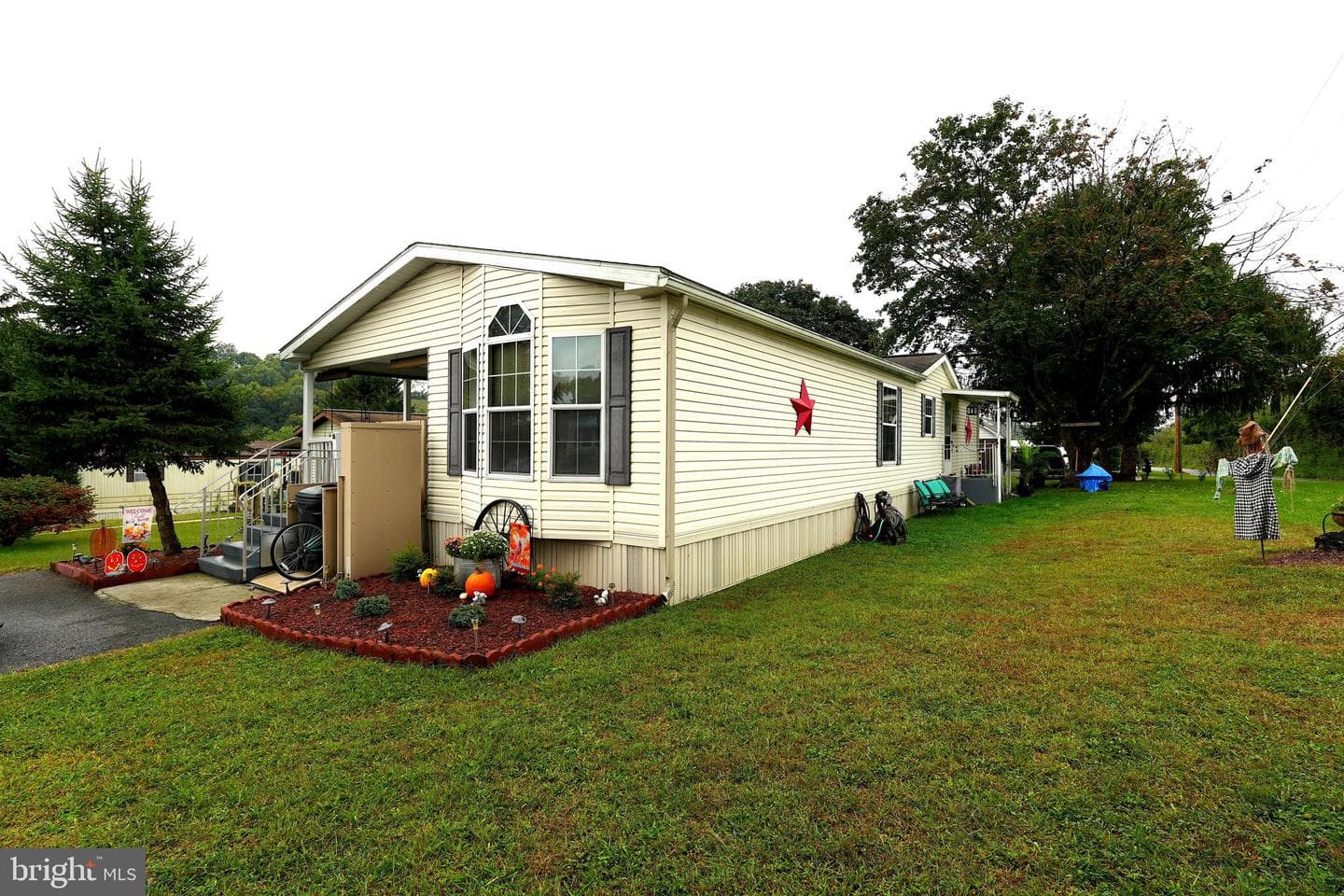 16 Shamrock Avenue photo 2
