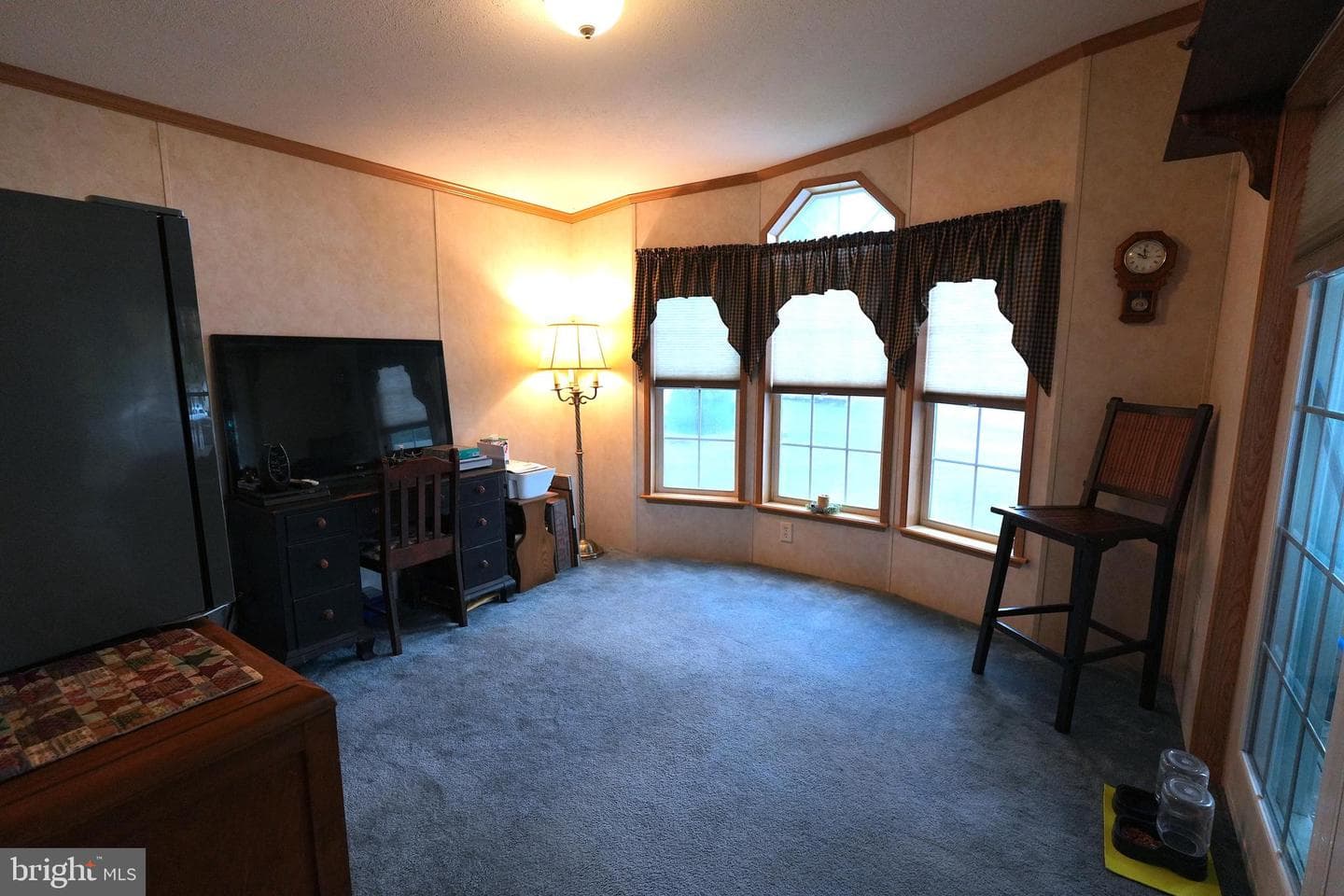 16 Shamrock Avenue photo 5