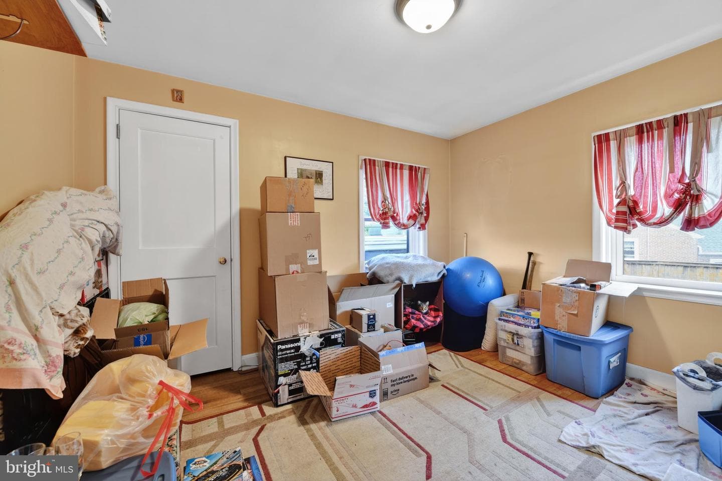 203 Mayer Street photo 24
