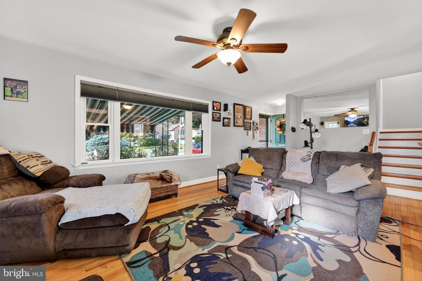 203 Mayer Street photo 7