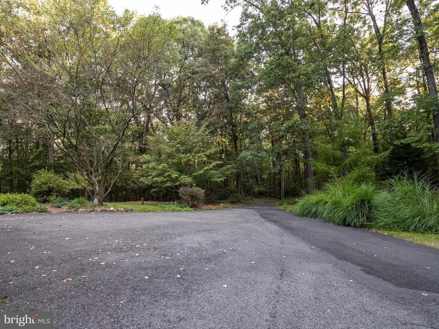 24 Woods Lane photo 44