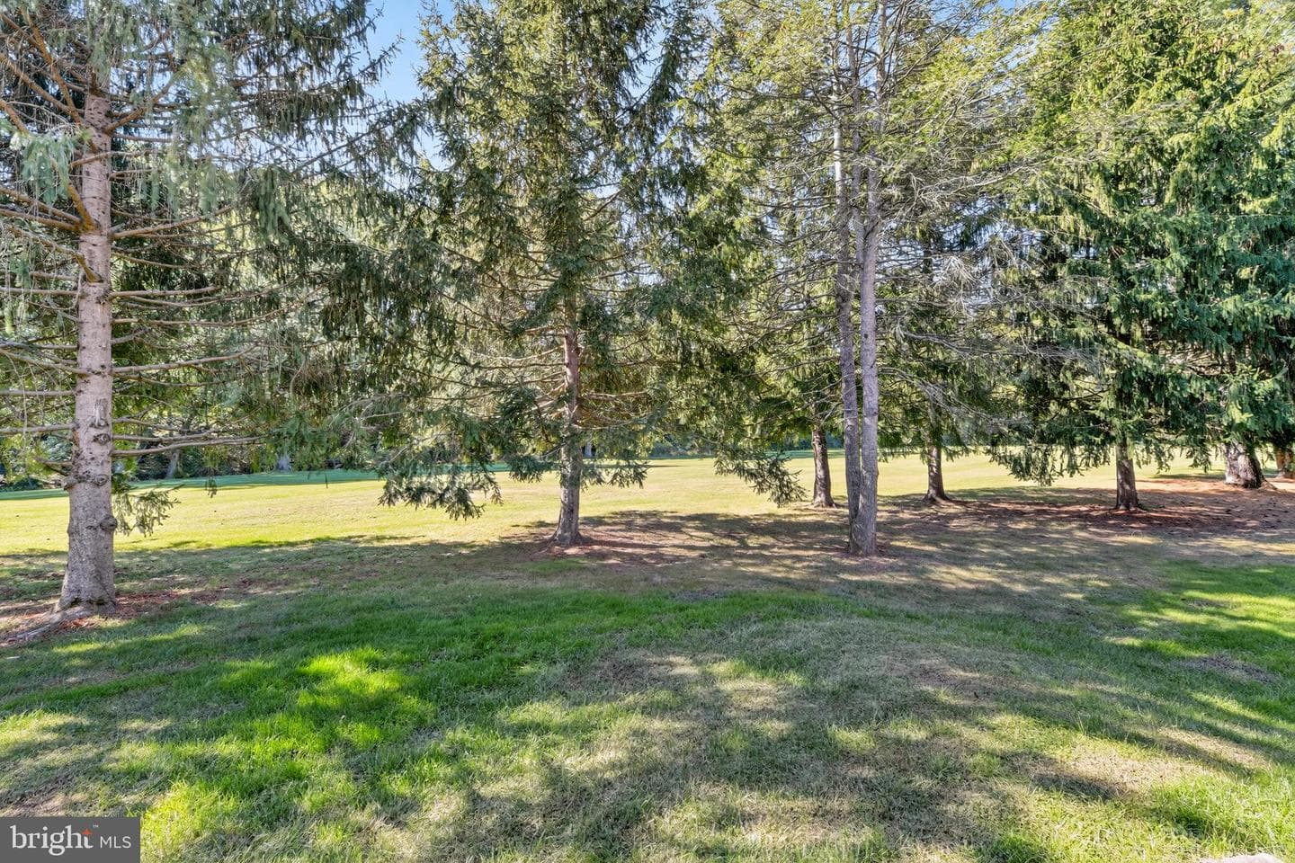 48 Winged Foot Drive photo 27