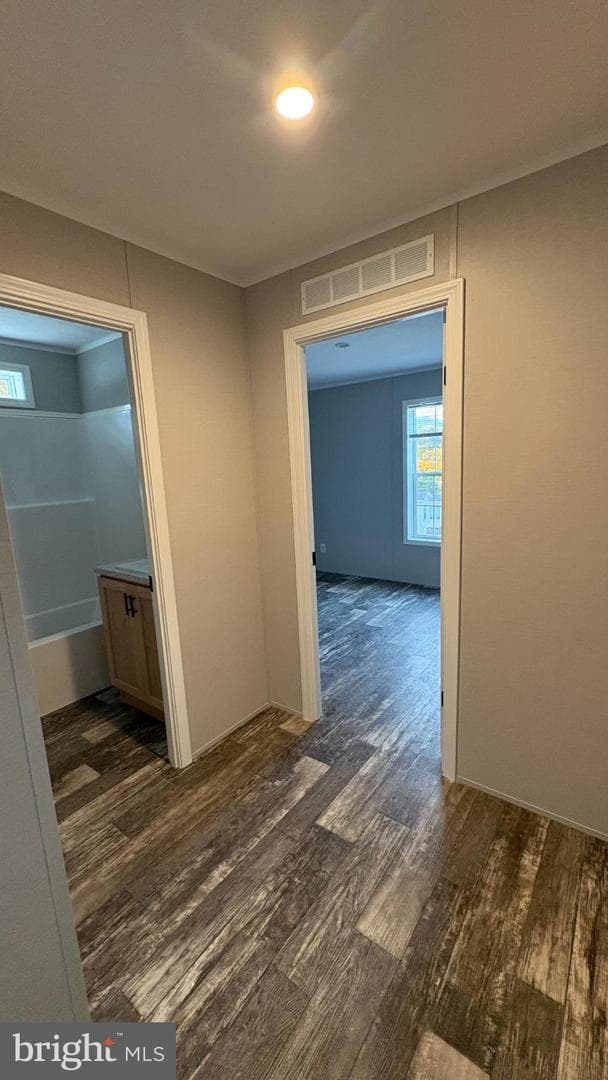 2461 Elizabeth Avenue #d2 photo 14
