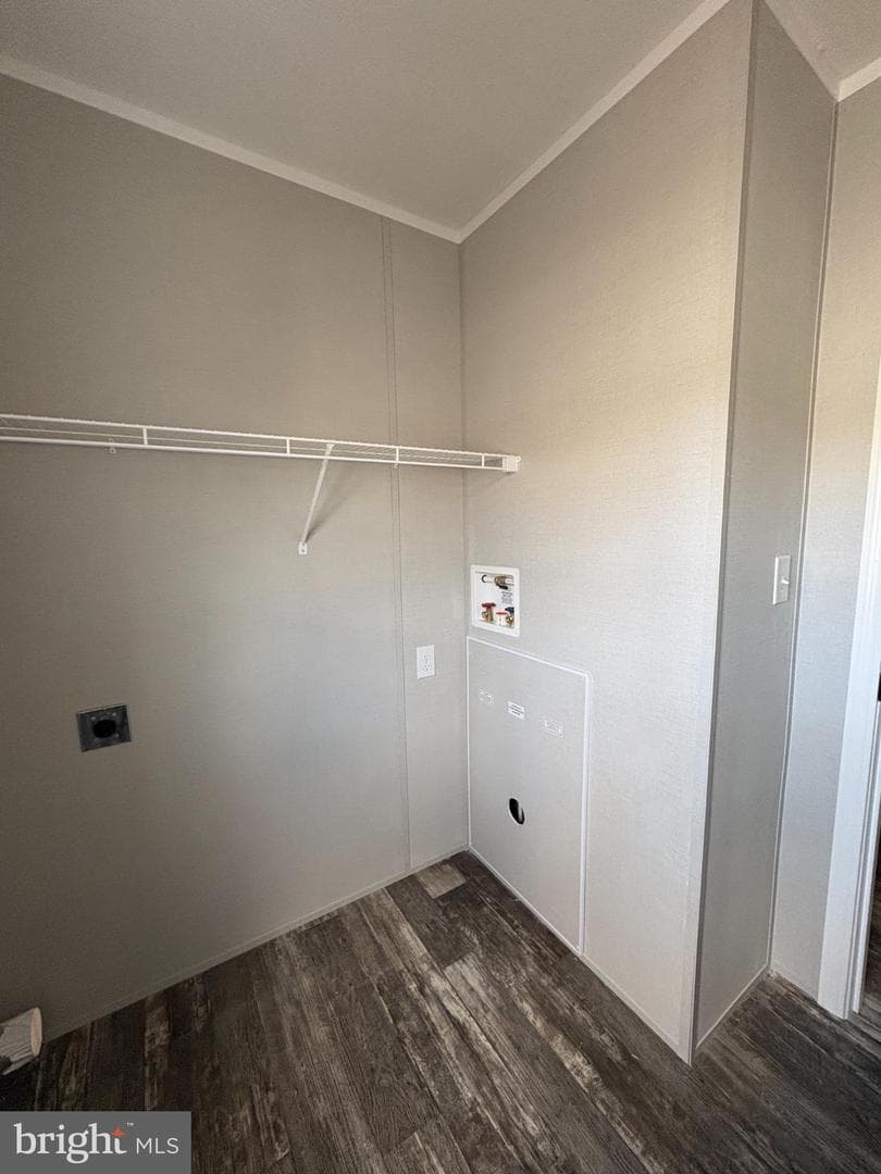 2461 Elizabeth Avenue #d2 photo 28