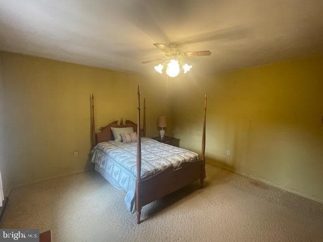 91 Dogwood Lane photo 18