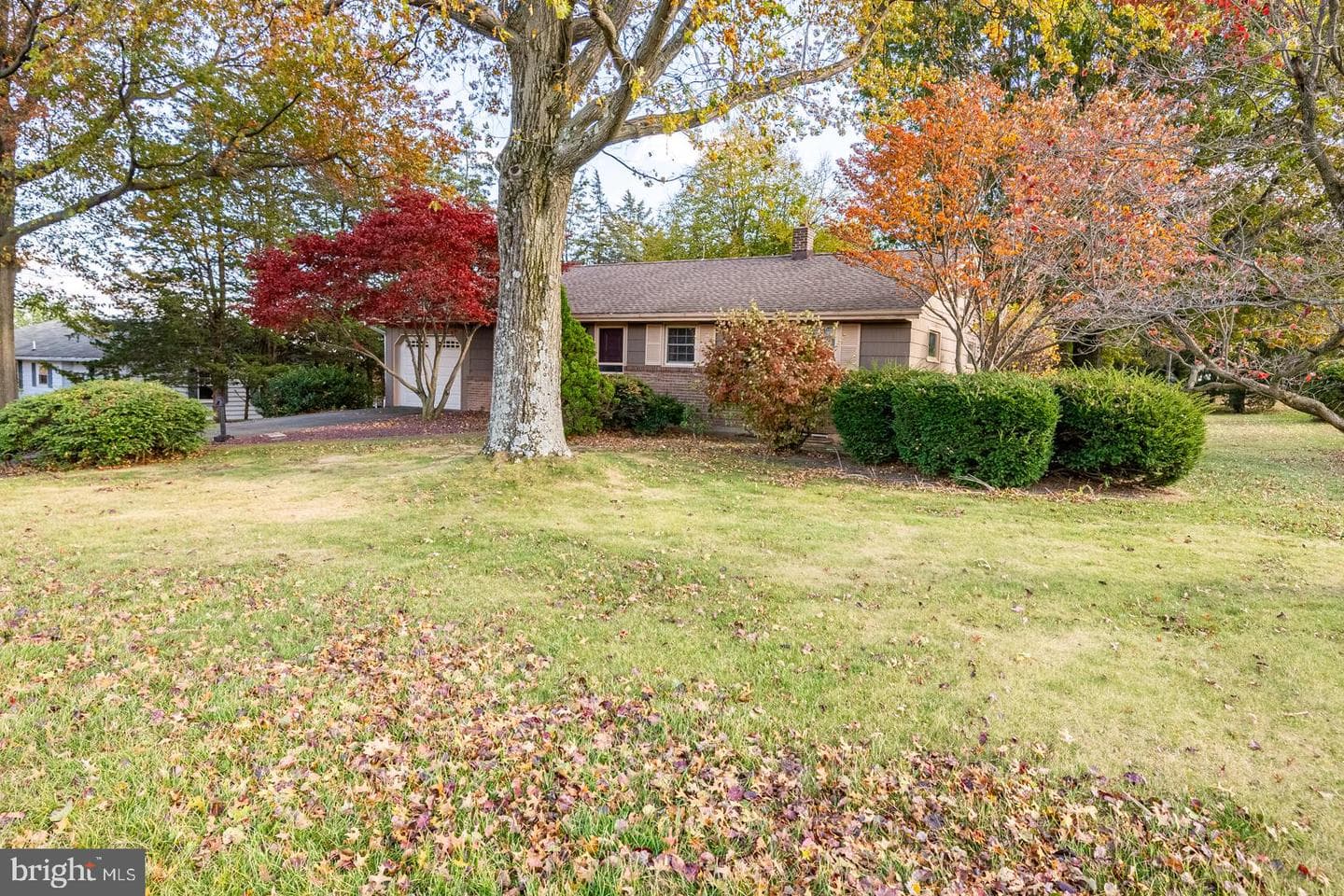 207 Laurel Avenue photo 2