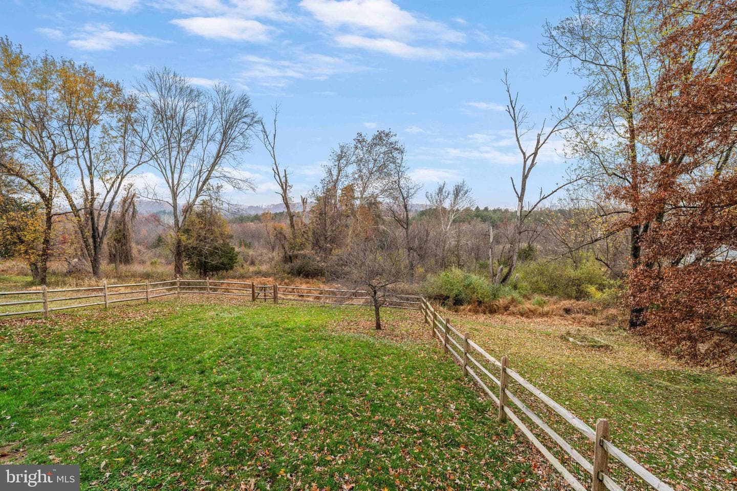 100 Pineland Road photo 12