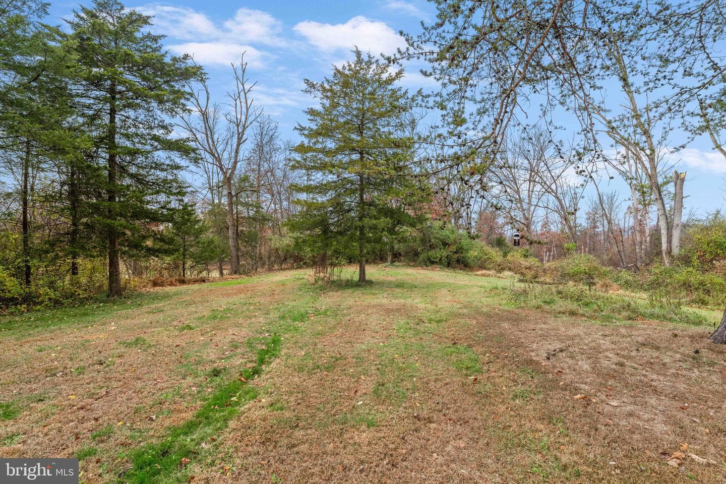 100 Pineland Road photo 25