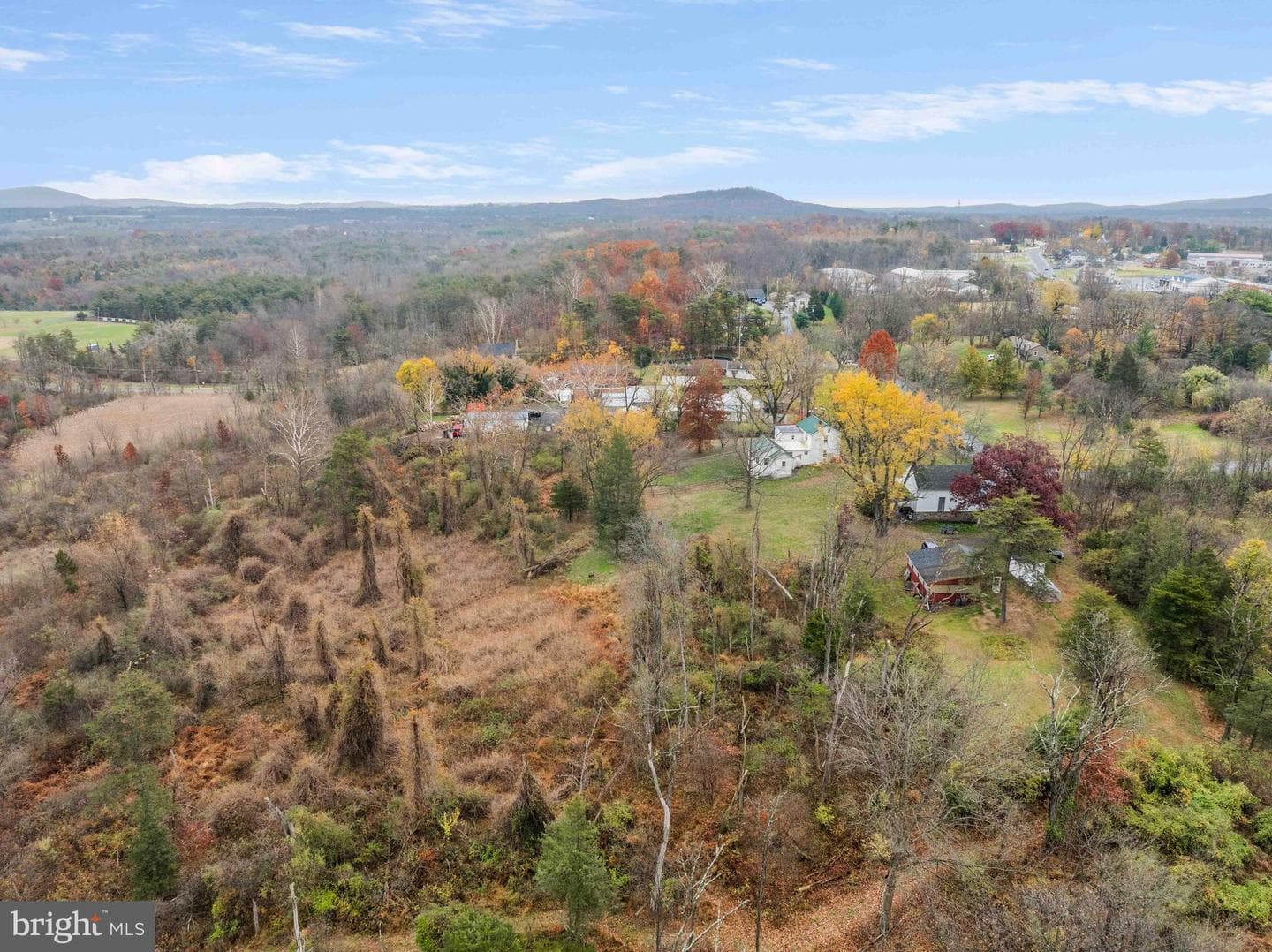 100 Pineland Road photo 60