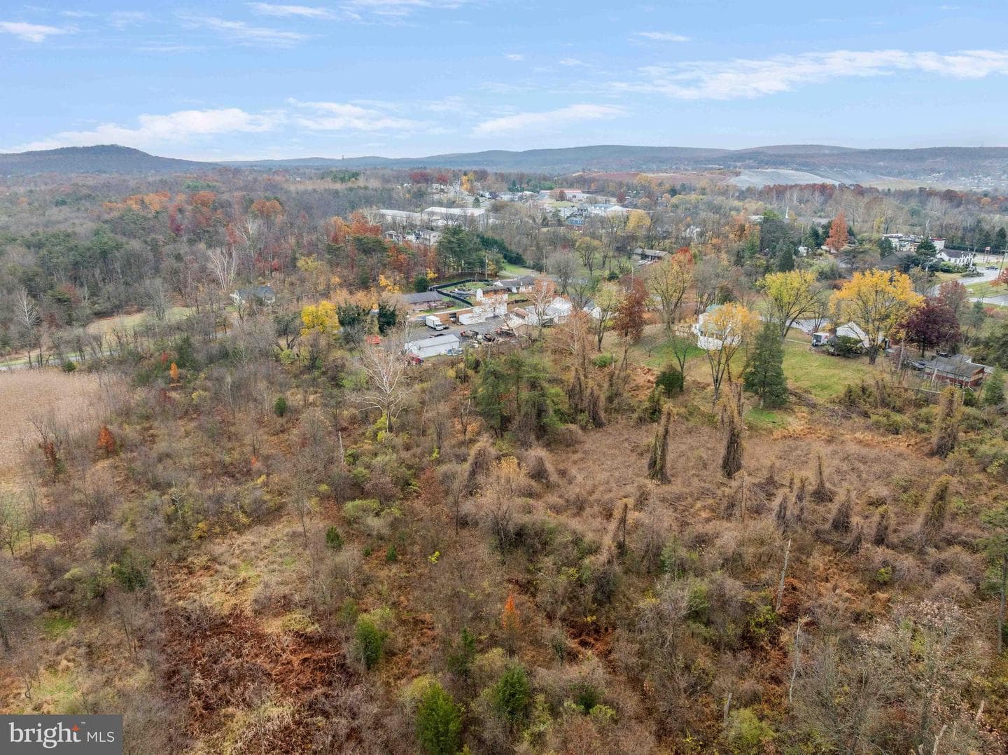 100 Pineland Road photo 61