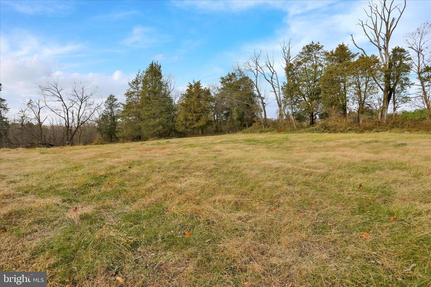 320 S Baumstown Road photo 37