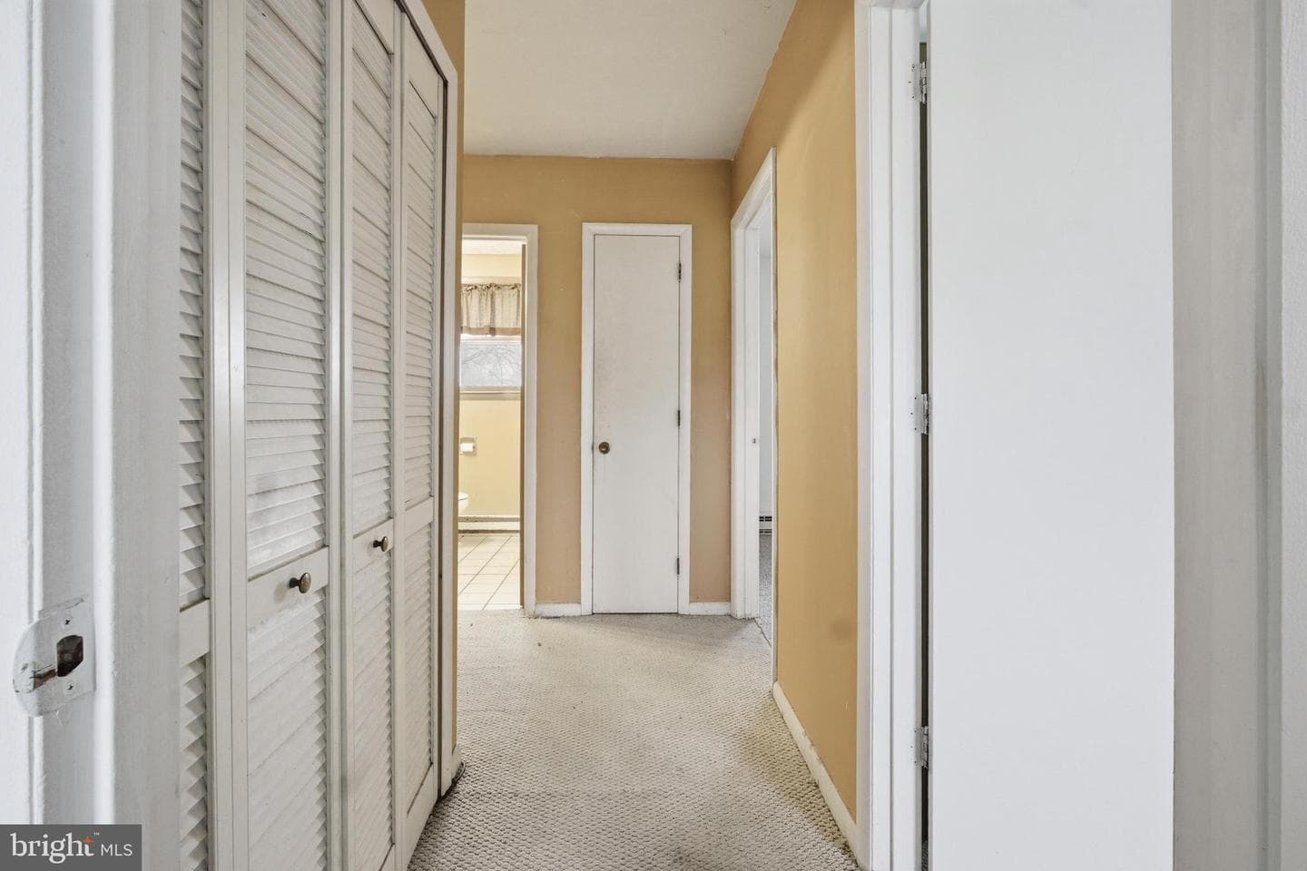 144 W Gaul Street photo 13