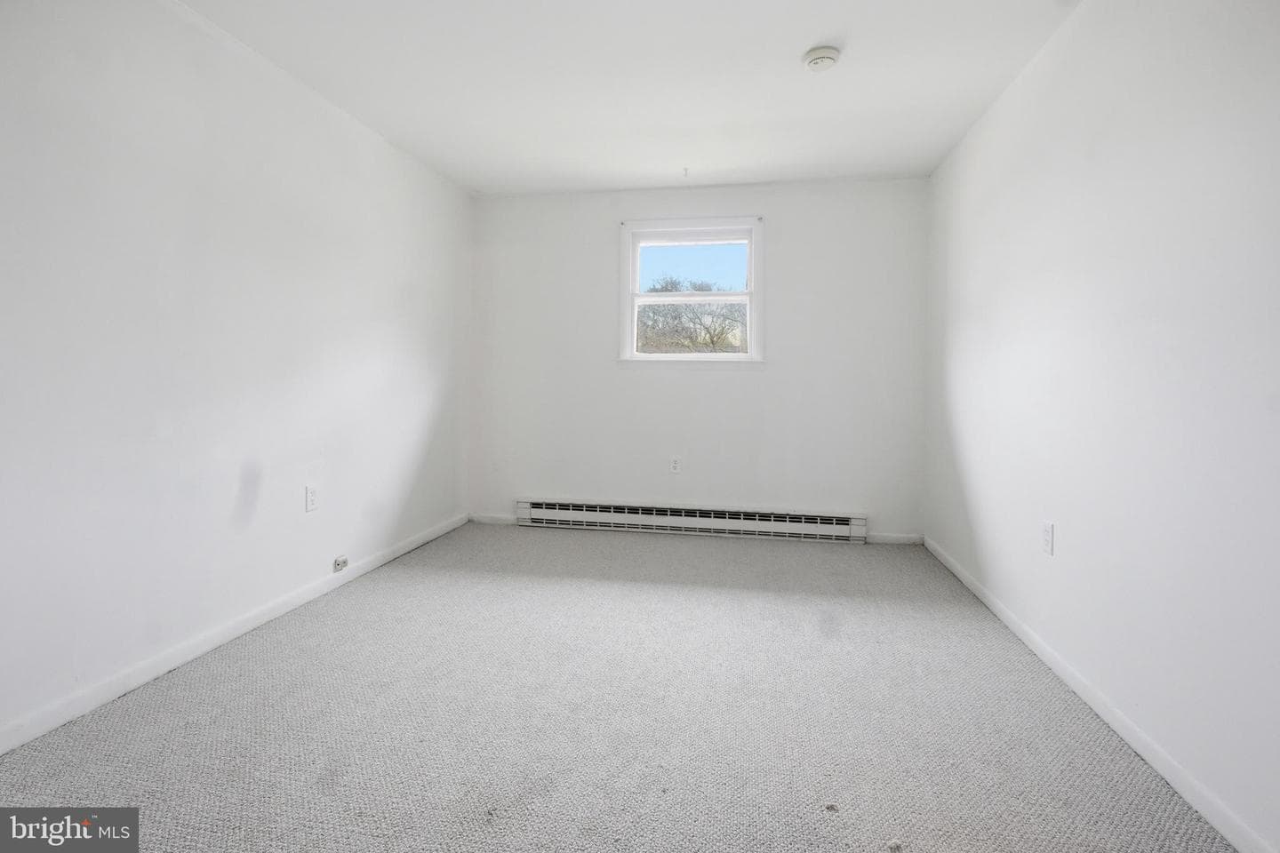 144 W Gaul Street photo 15