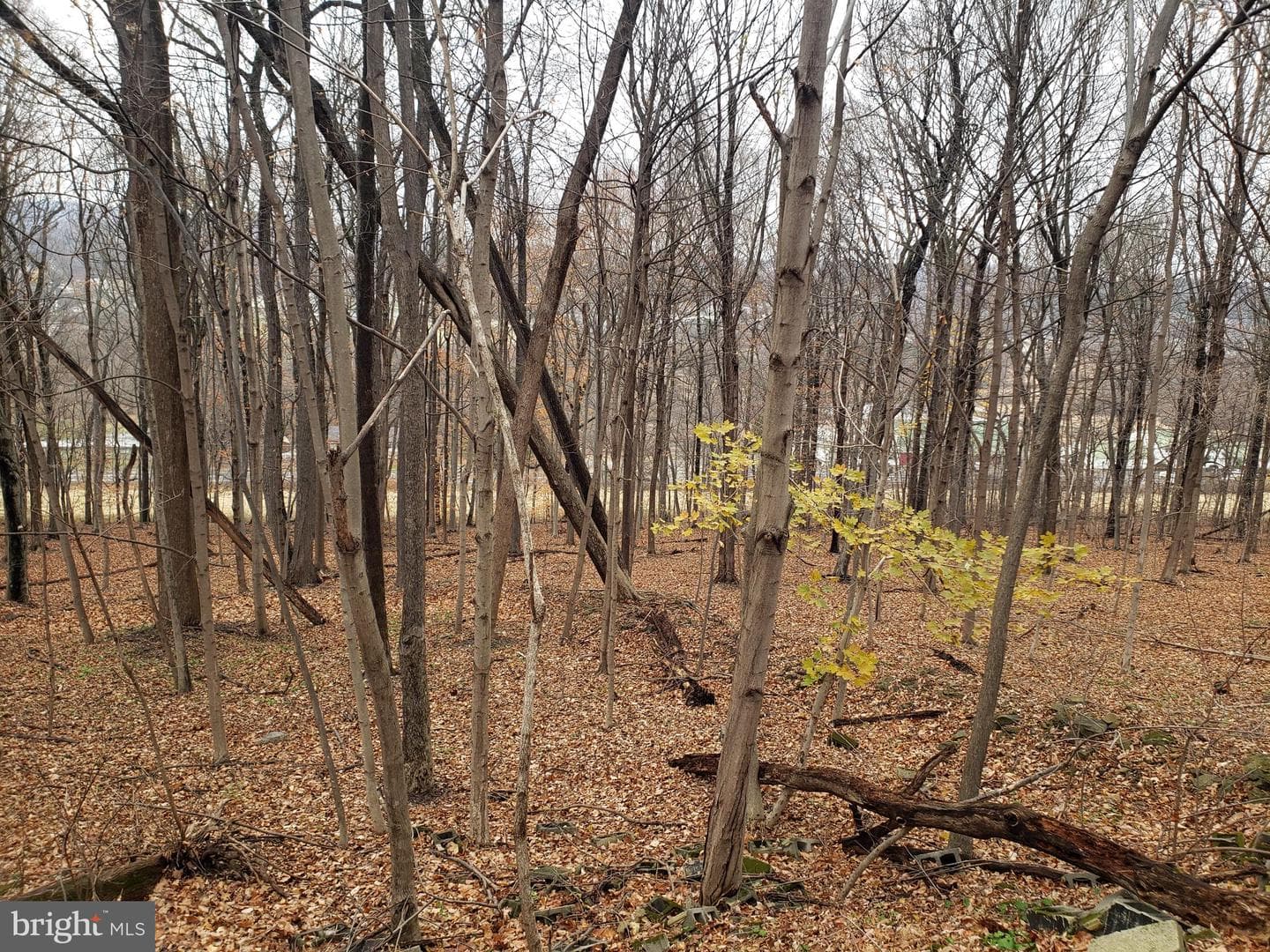 275 Washington Road photo 6