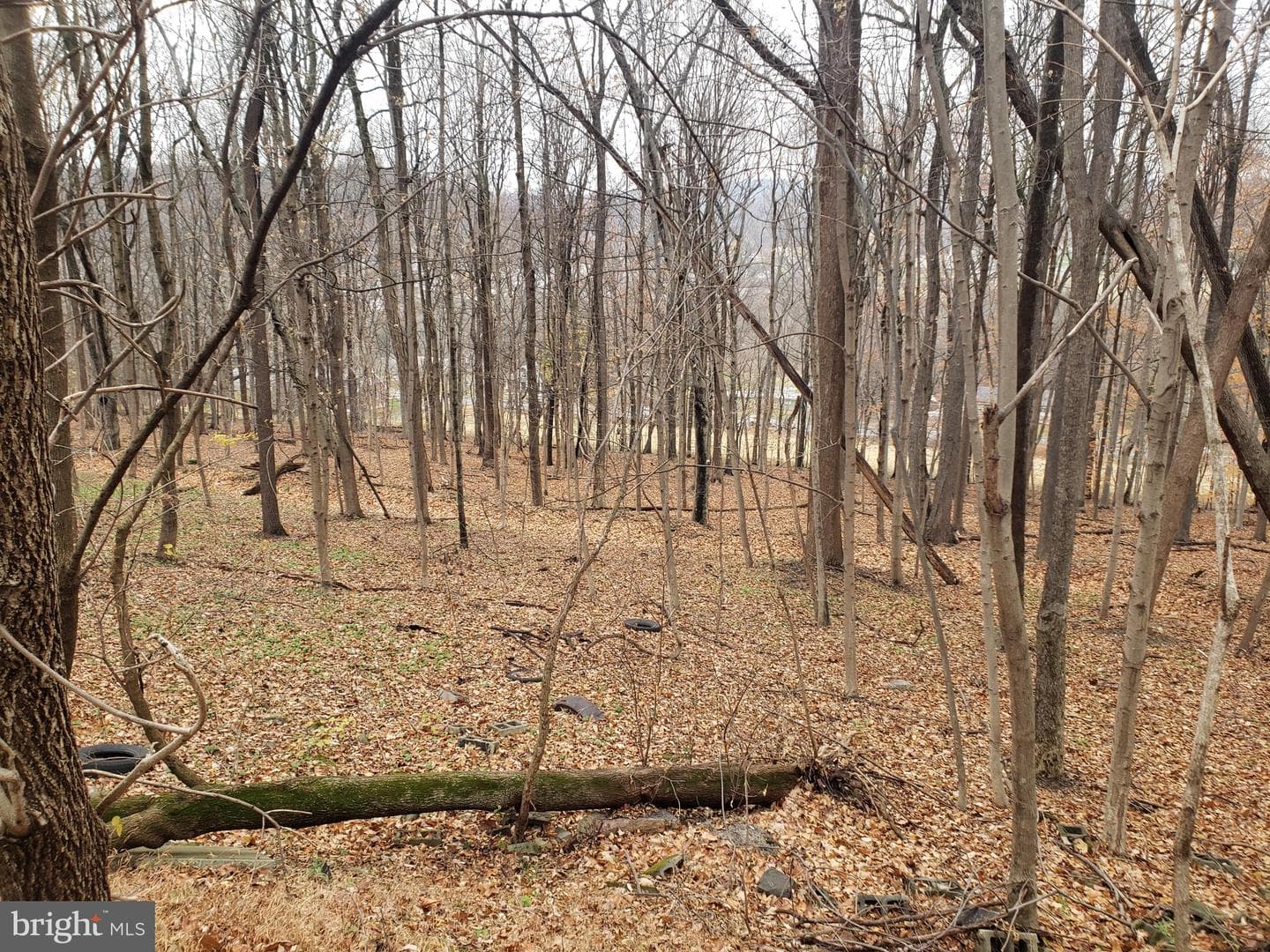275 Washington Road photo 7