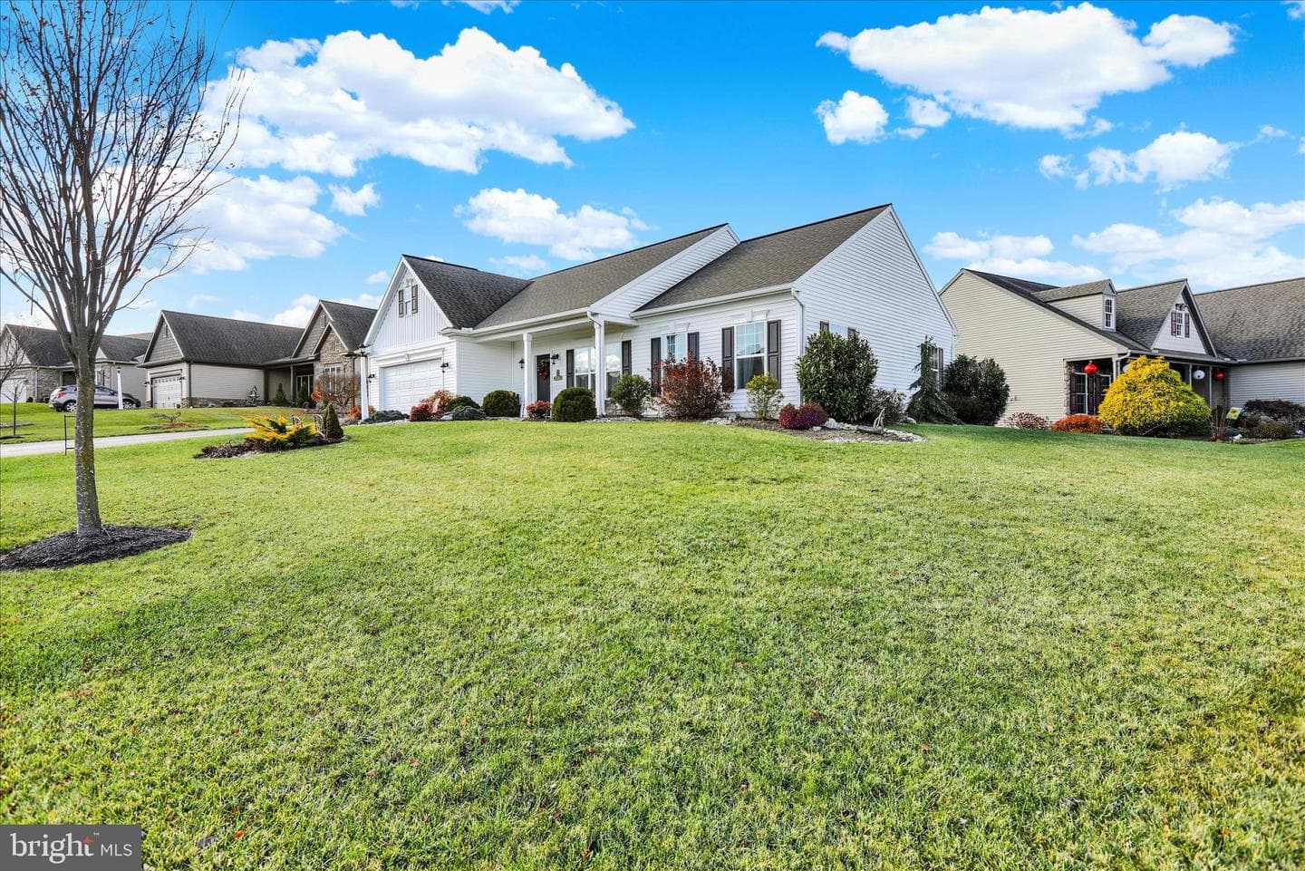 4 Rosebush Court photo 4