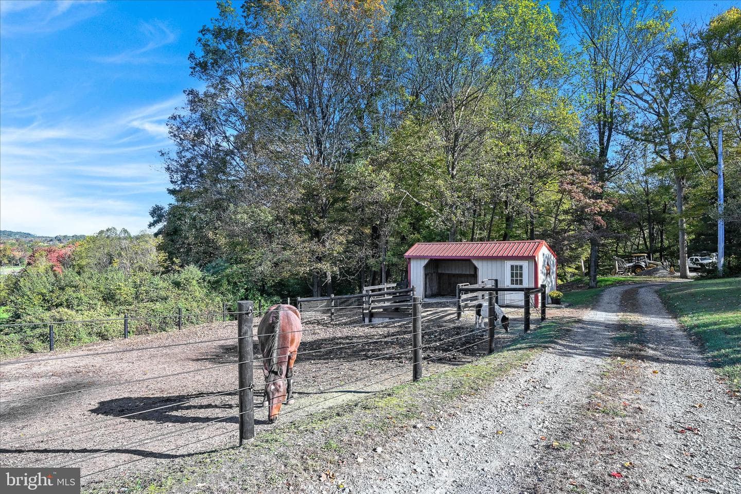 122 Witmer Road photo 14