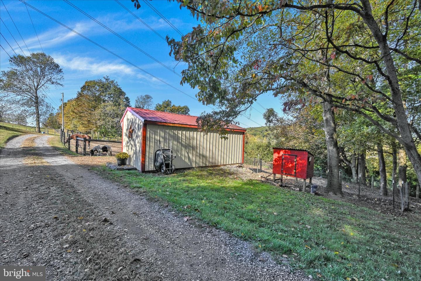 122 Witmer Road photo 15
