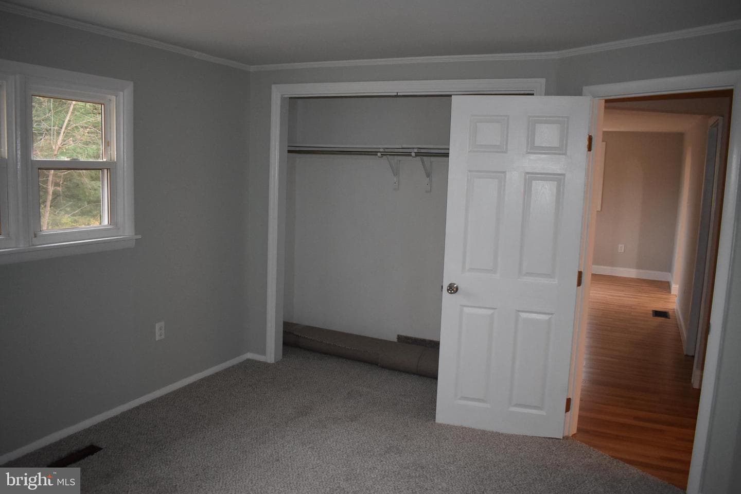 127 Cedar Lane photo 14