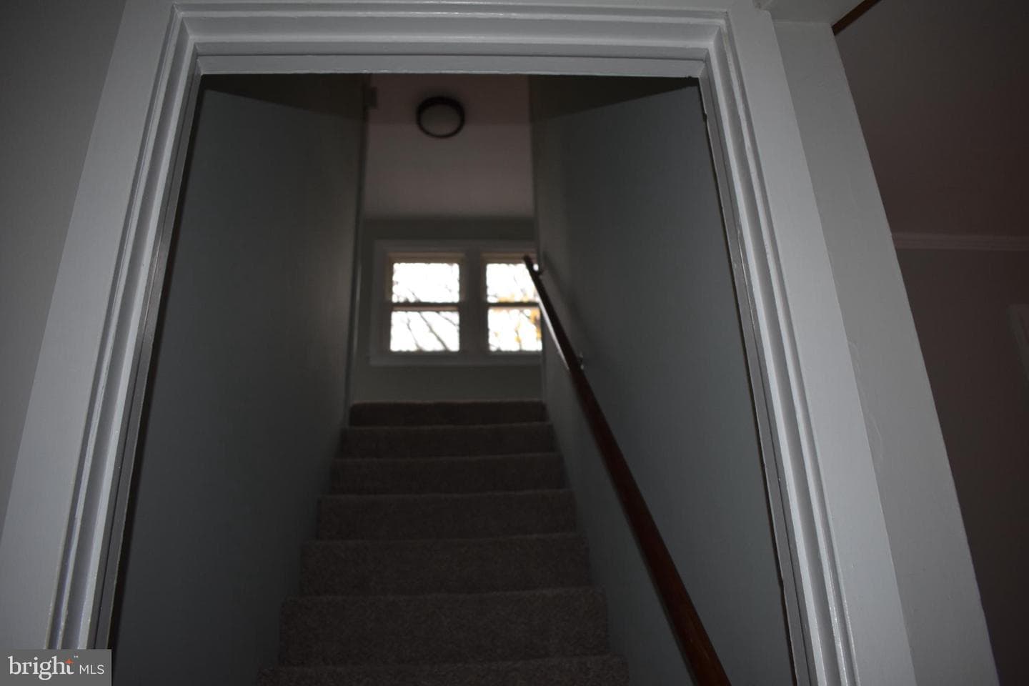 127 Cedar Lane photo 23