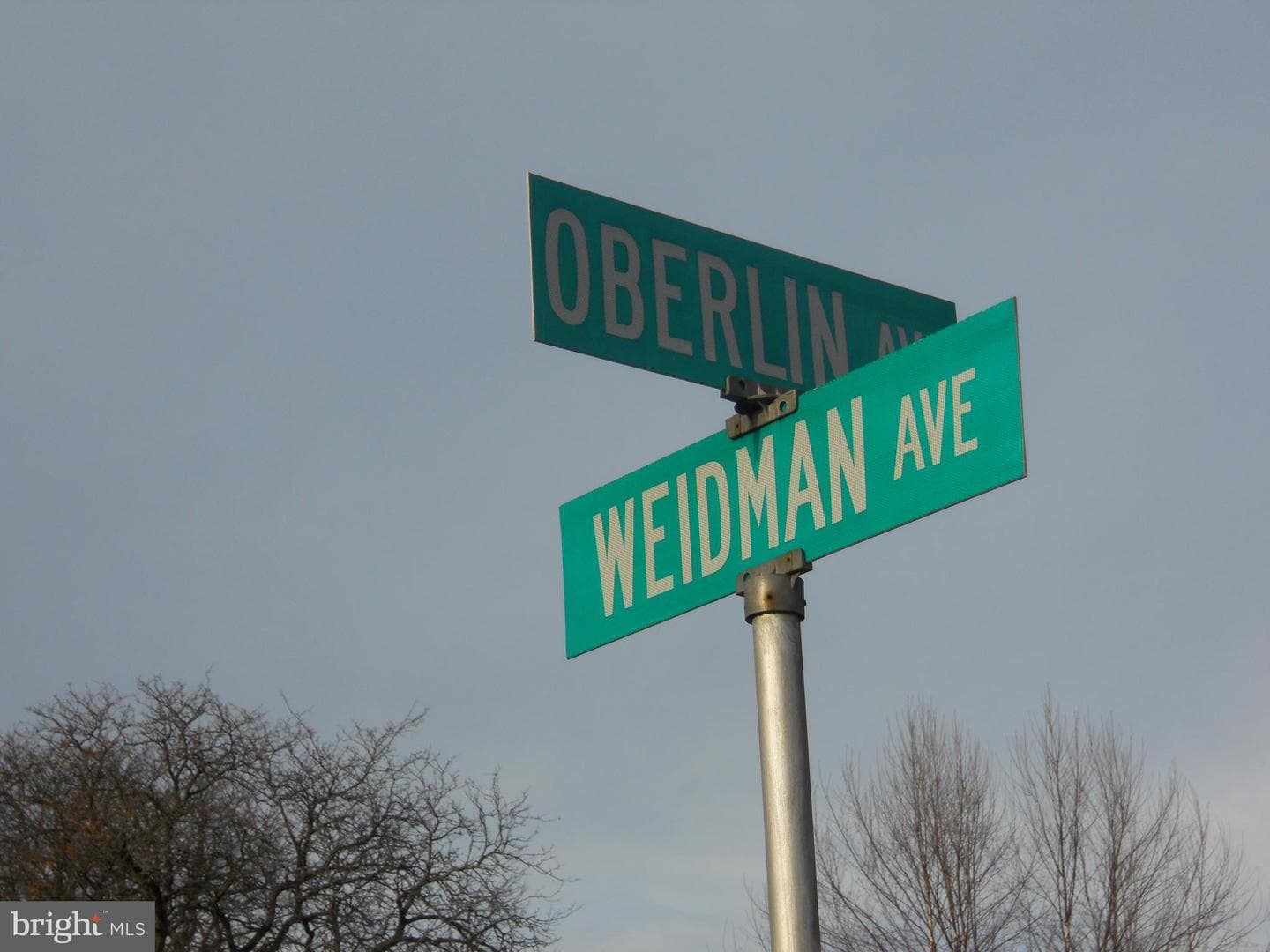 164 Oberlin Avenue photo 31