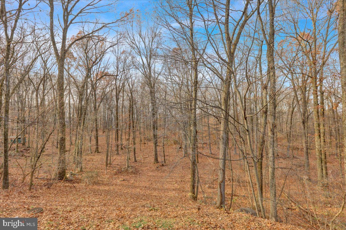 28 Lake Road photo 35