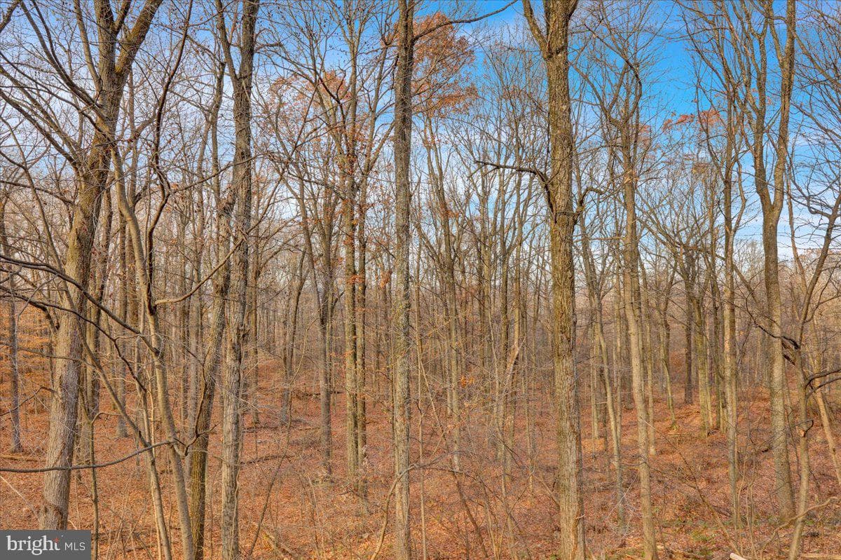 28 Lake Road photo 36