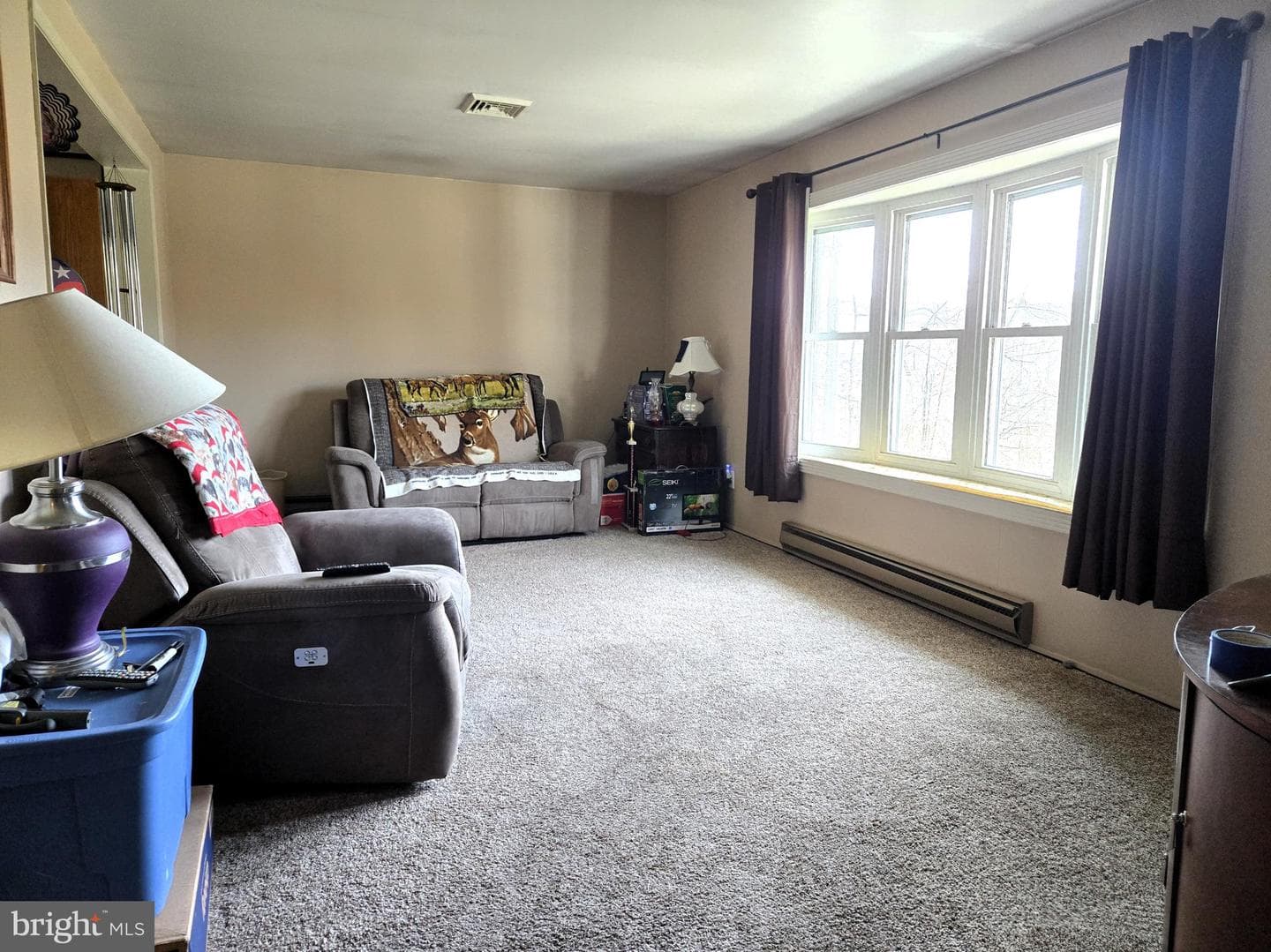 169 Dale Road photo 15