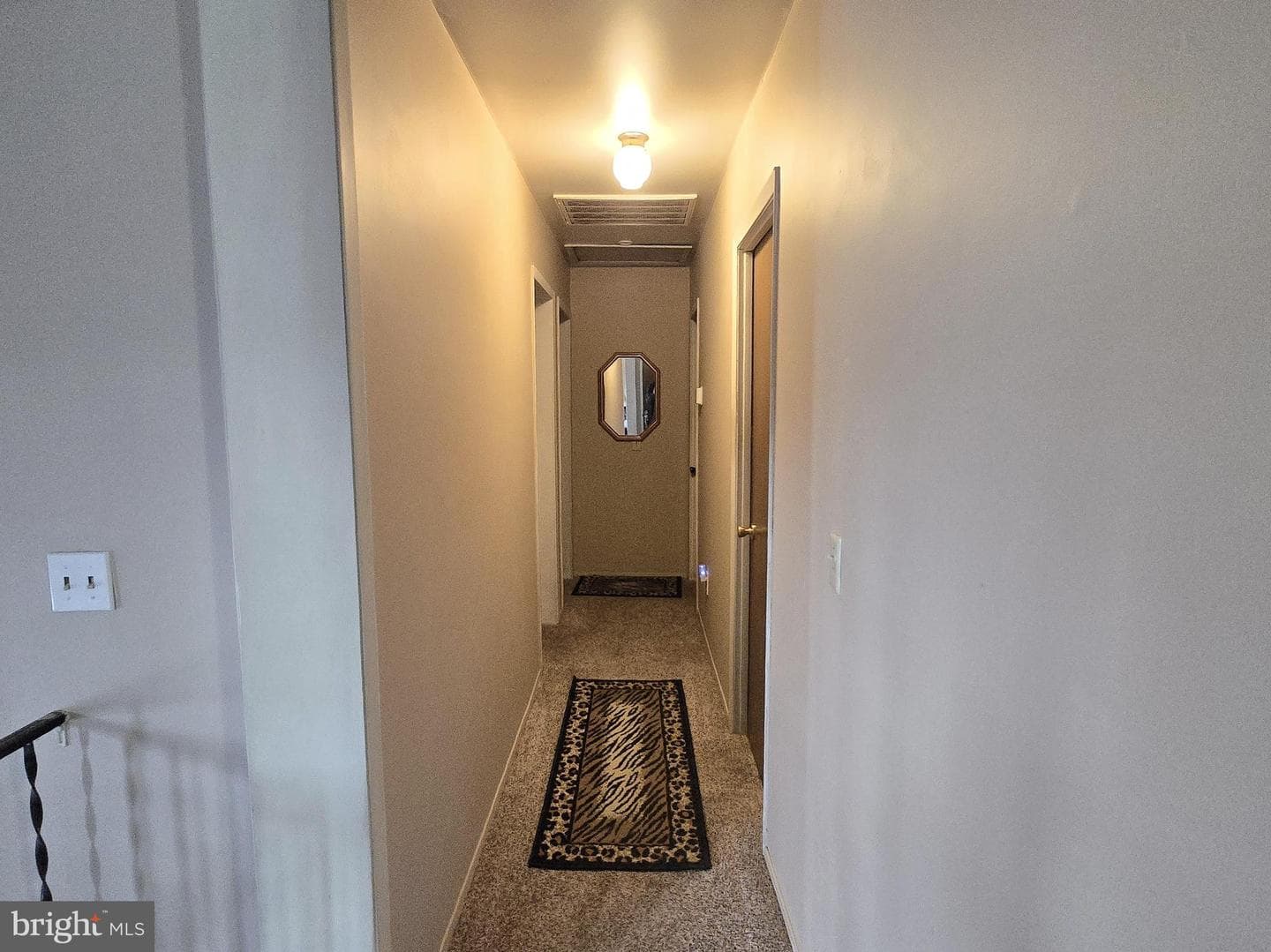 169 Dale Road photo 20