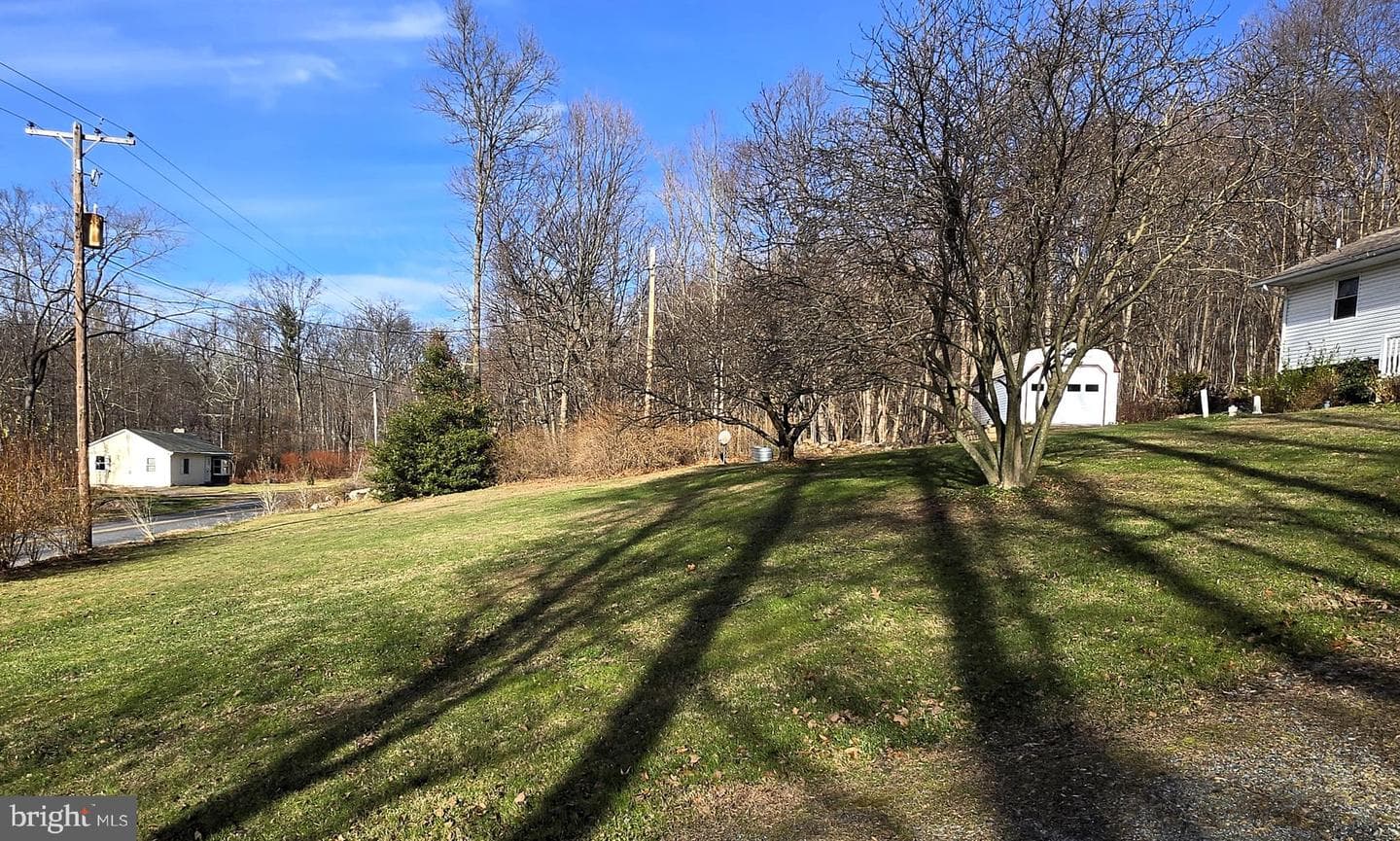 169 Dale Road photo 3