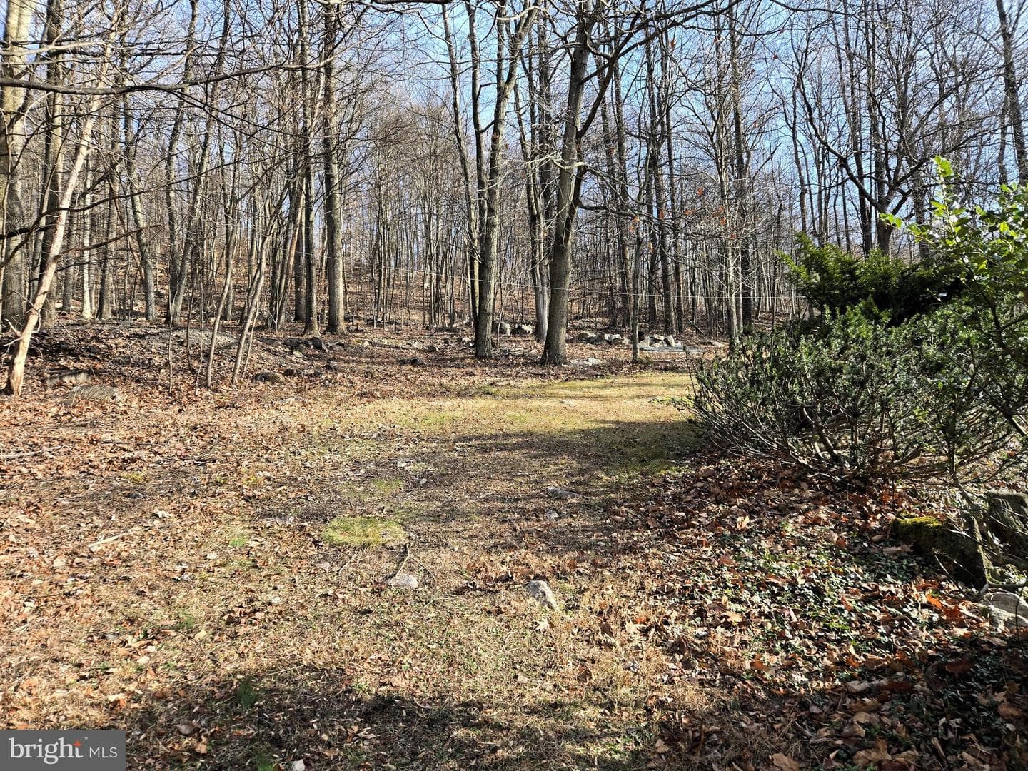 169 Dale Road photo 6