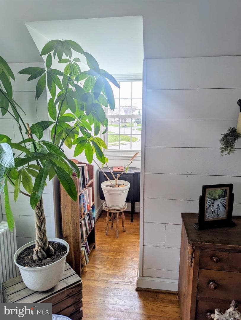 3 Locust Lane photo 22