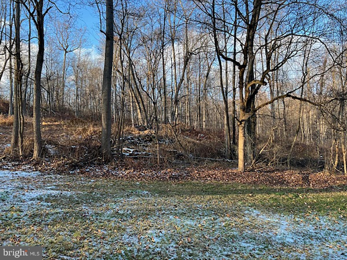 80 Beckers Grove photo 21