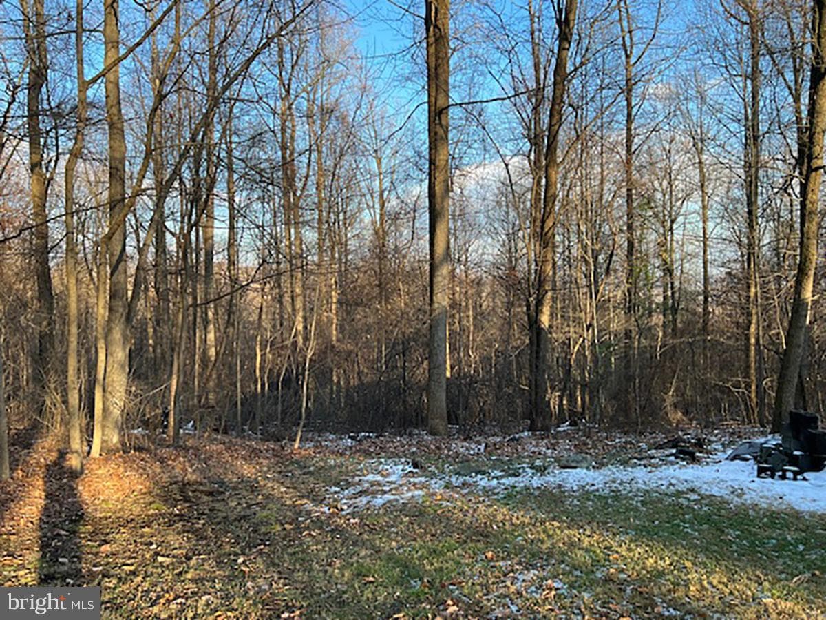 80 Beckers Grove photo 23